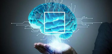 探索人工智能应用软件开发 从概念到落地的全流程剖析